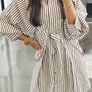 Brown Stripe Knot Waist Puff Sleeve Button Down Mini Shirt Dress